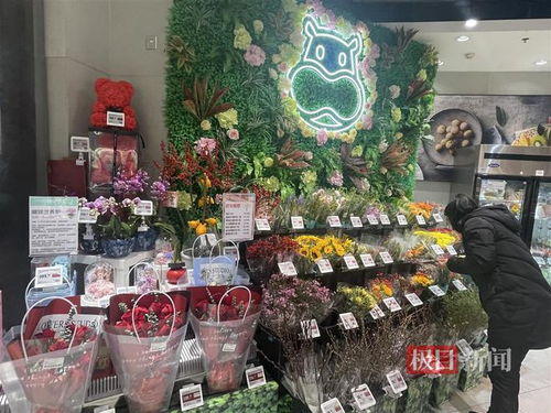 鮮花消費(fèi)日?；厔菝黠@，武漢時(shí)令春花綻放新商機(jī)